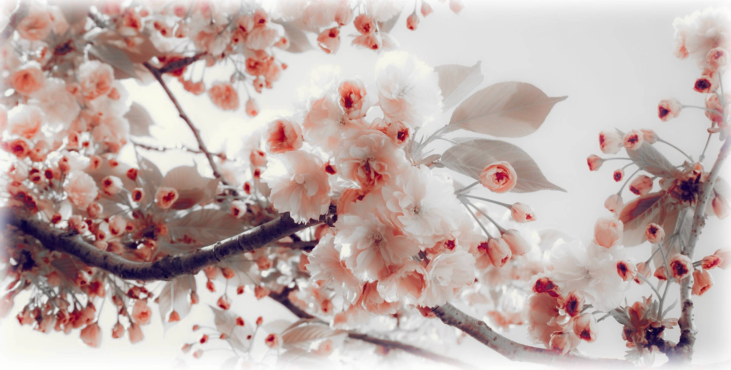 open-photo-2700